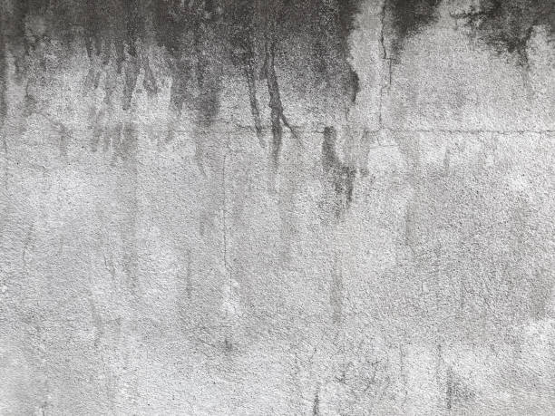 istock Hires black and white dirty cement or concrete wall background 1410920720