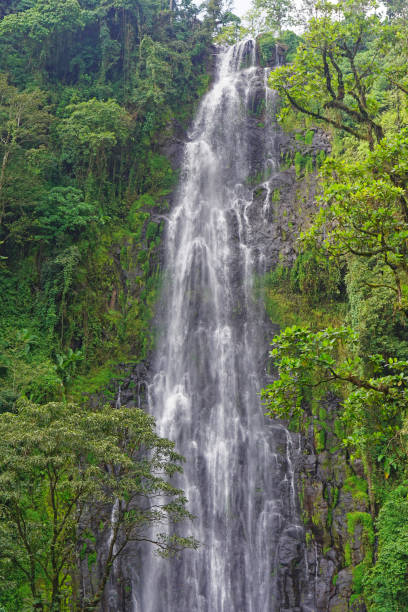 istock Tropical jungle waterfalls 1410922625