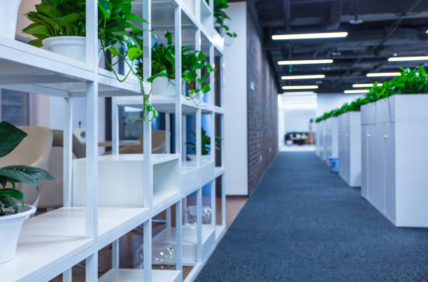 istock Modern office interior corridor with green plants 1410929502
