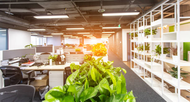 istock Office interior full of green plants 1410930097