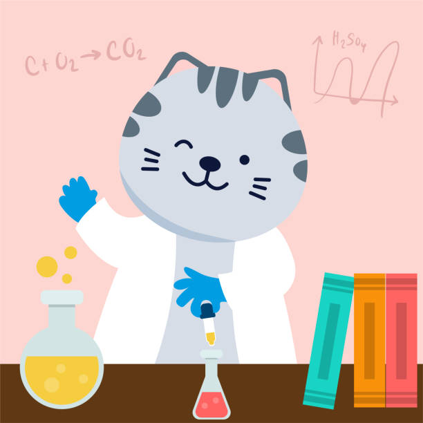 Animal scientist in laboratory with science equipment The Animal scientist wearing white coat in laboratory with test tube, DNA sign and science equipment in cartoon character for graphic designer,  Vector illustration science and technology research stock illustrations