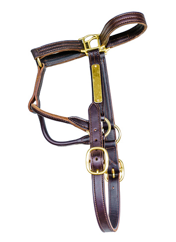 Close-up image of a leather bridle or horse halter isolated on white background