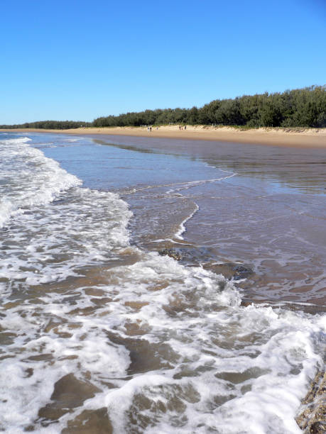 istock Ocean waves crashing onto a beach with sand and trees in Australia 1410938998