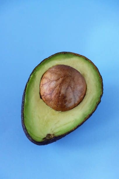 istock Close-up image of avocado fruit halved, cross section displaying large seed, blue background, elevated view 1410939743