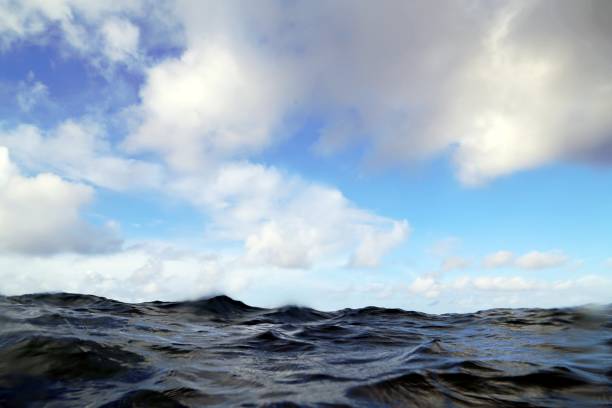 istock Swimming on sea level 1410939831