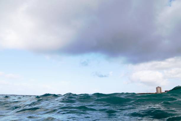 istock Swimming on sea level 1410939834