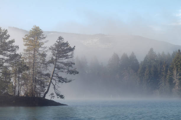 Morning Fog At Lake Cowichan stock photo