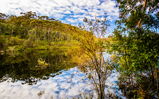 The lake is located inside the Booderee National Park Botanic Gardens, Jervis Bay,  NSW, Australia.
