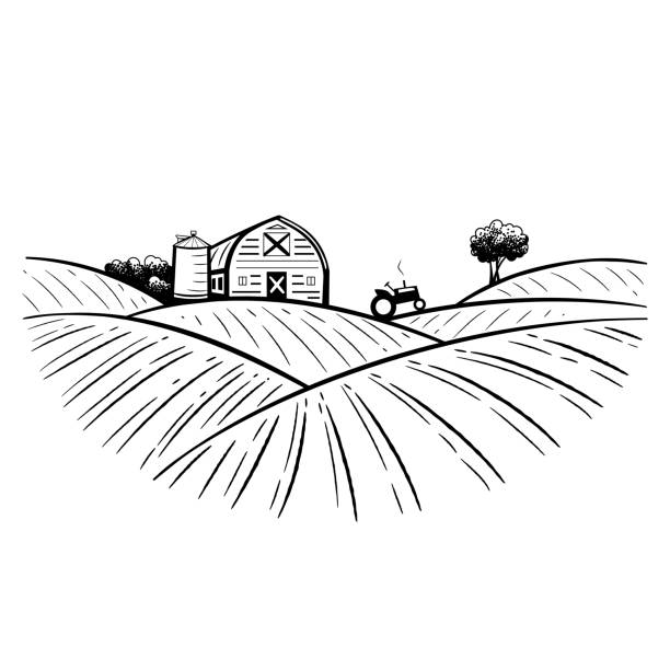 illustrazioni stock, clip art, cartoni animati e icone di tendenza di magazzino agricolo, hangar tra i campi. incisione agricola, agroalimentare e prodotti biologici - agriculture field tractor landscape