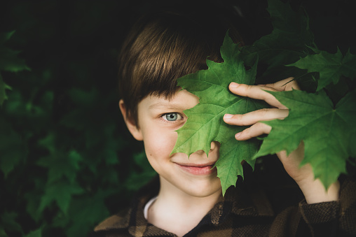 Kid boy holds a green maple leaf . Happy small child play with leaves. Smiling schoolboy having fun outdoors