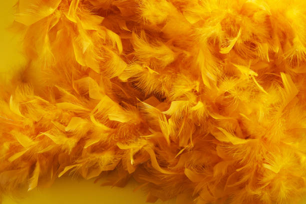 istock feather bao against yellow background 1410950111