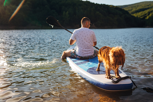 An unrecognizable man enjoys rowing on the lake in the company of his pet