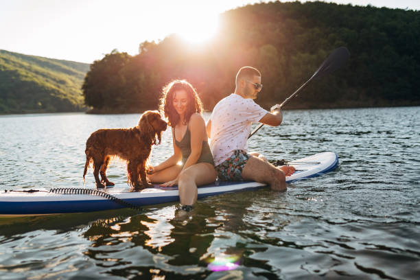 istock A tame and cuddly dog ​​sails with its owners on a paddle board 1410953033