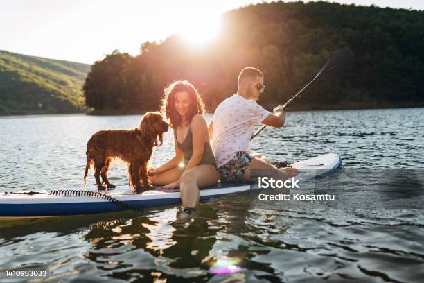 A Tame And Cuddly Dog Sails With Its Owners On A Paddle Board Stock Photo - Download Image Now