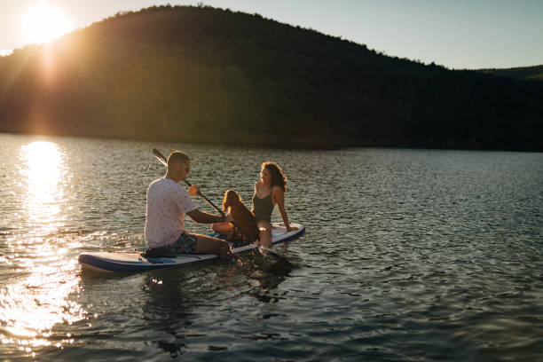 istock Young loving couple paddle boarding on lake in summer 1410953080