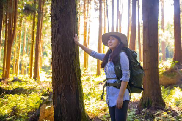 istock Woman hiking in forest 1410955036