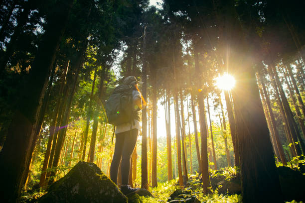 istock Woman hiking in forest 1410955037