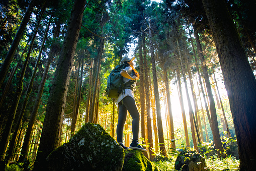 Woman hiking in forest