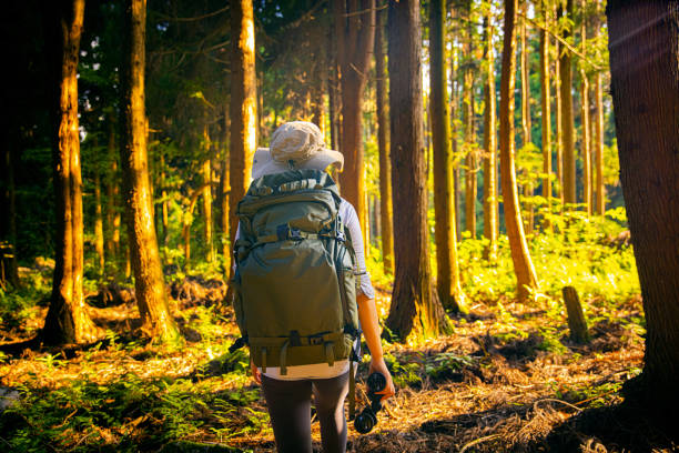 istock Woman with  backpack walking through summer forest 1410955172