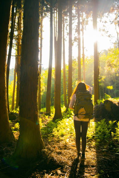 istock Woman with  backpack walking through summer forest 1410955410