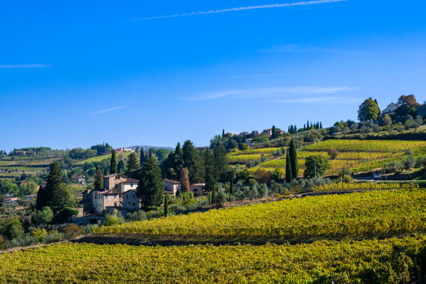 istock Chianti Region - Tuscany 1410956257