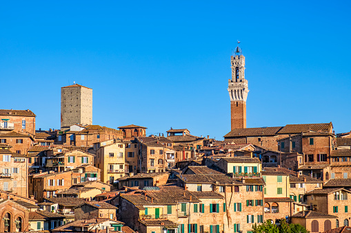 Panoramic view of Siena, where stands out the Torre del Mangia/Civic Tower