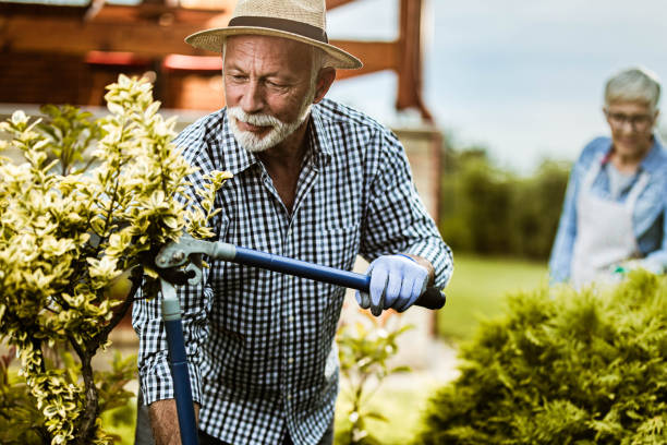 istock Smiling senior man gardening in the backyard. 1410959616