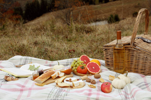 istock Blanket with picnic basket, wine, snacks and book outdoors on autumn day. Space for text 1410959646