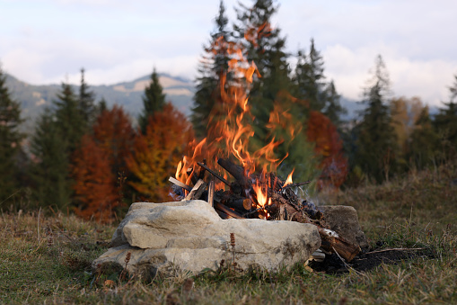 Beautiful bonfire near forest in mountains. Camping season