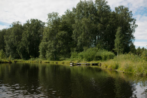 istock Natural landscape, river in the forest 1410961028