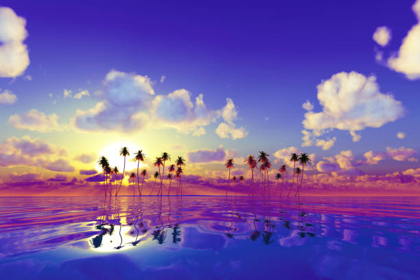 coconut palms at pink sunset over tropic sea