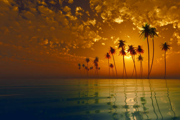 istock tropic island at sunset 1410970293
