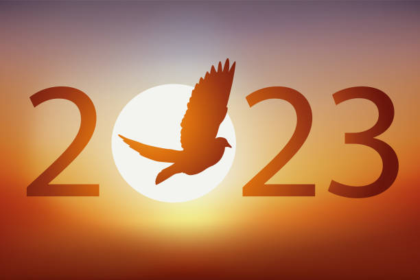 Card of greetings 2023 for freedom with a dove of peace that flies in the setting sun. vector art illustration
