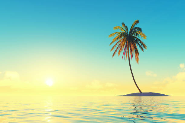 istock island with coconut palm 1410970483