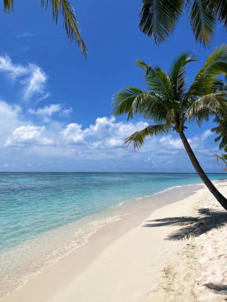 istock View on a torpical island with blue water and beach at sunny day 1410970790