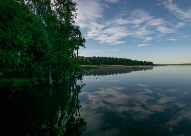 istock cloud reflections in clear and calm lake water, tree silhouettes in the foreground, summer morning 1410972932