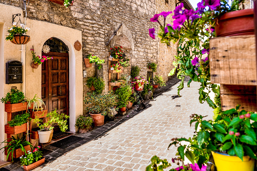 A vertical garden with flowers and plants harmoniously decorate the stone houses in an alley in the heart of Gualdo Tadino, a medieval village between Spoleto and Gubbio in Umbria, central Italy. An important city since Roman times, Gualdo Tadino rises along the ancient consular Via Salaria, traced by the Romans. Its history runs throughout the Middle Ages and, despite having been partially destroyed and sacked numerous times and placed under the dominion of Perugia, this ancient Umbrian center still retains its medieval charm. The Umbria region, considered the green lung of Italy for its wooded mountains, is characterized by a perfect integration between nature and the presence of man, in a context of environmental sustainability and healthy life. In addition to its immense artistic and historical heritage, Umbria is famous for its food and wine production and for the quality of the olive oil produced in these lands. Wide angle image in high definition format.