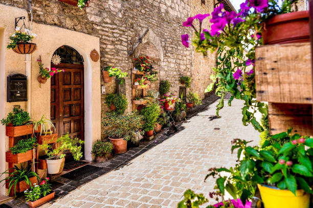 Flowers and plants decorate a stone alley in the medieval village of Gualdo Tadino in Umbria A vertical garden with flowers and plants harmoniously decorate the stone houses in an alley in the heart of Gualdo Tadino, a medieval village between Spoleto and Gubbio in Umbria, central Italy. An important city since Roman times, Gualdo Tadino rises along the ancient consular Via Salaria, traced by the Romans. Its history runs throughout the Middle Ages and, despite having been partially destroyed and sacked numerous times and placed under the dominion of Perugia, this ancient Umbrian center still retains its medieval charm. The Umbria region, considered the green lung of Italy for its wooded mountains, is characterized by a perfect integration between nature and the presence of man, in a context of environmental sustainability and healthy life. In addition to its immense artistic and historical heritage, Umbria is famous for its food and wine production and for the quality of the olive oil produced in these lands. Wide angle image in high definition format. gualdo tadino stock pictures, royalty-free photos & images