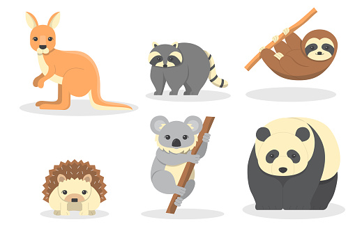 Cute wild animal with Kangaroo, raccoon, armadillo, hedgehog, koala and panda., Hand drawing in cartoon characters on white background,  Vector illustration