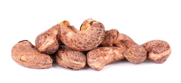 istock Cashew nuts in shell isolated on white background. Roasted and salted cashew nuts. 1410976779