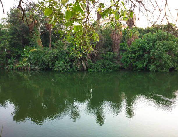 istock River Nile Bank Cairo, Egypt 1410979911