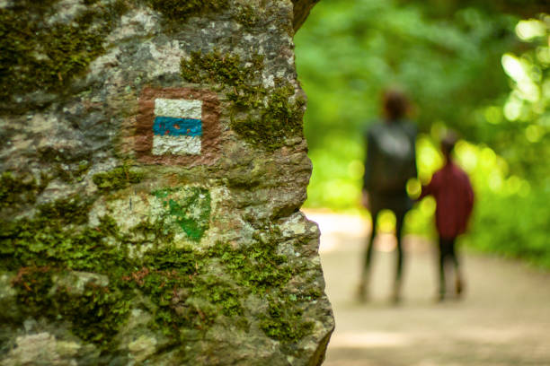 View of trekking sign in hiking park.