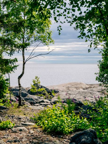 istock Summer landscape in Sweden 1410981685