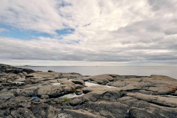 istock Summer landscape in Sweden 1410981735