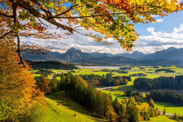 panoramic landscape with meadow and mountain panoramic landscape with meadow and mountain allgau stock pictures, royalty-free photos & images