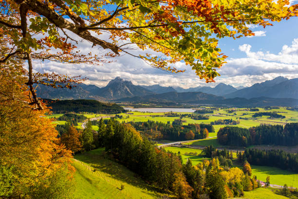 panoramic landscape with meadow and mountain - germany bavaria mountain range mountain imagens e fotografias de stock