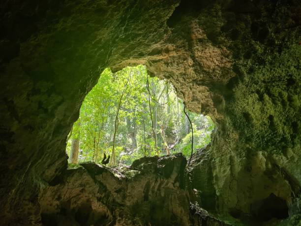 istock National Park Los Haitises 15 1410991021