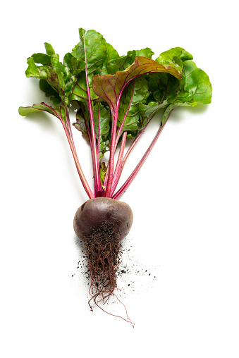 Studio shot: High angle view of one beet, straight from the garden.  isolated on a white background.