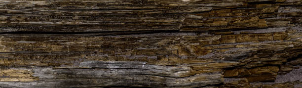 istock Panorama of an old dark rough wood floor or surface with splinters and knots. Horizontal parallel decking or boards with a wood texture. 1410991663