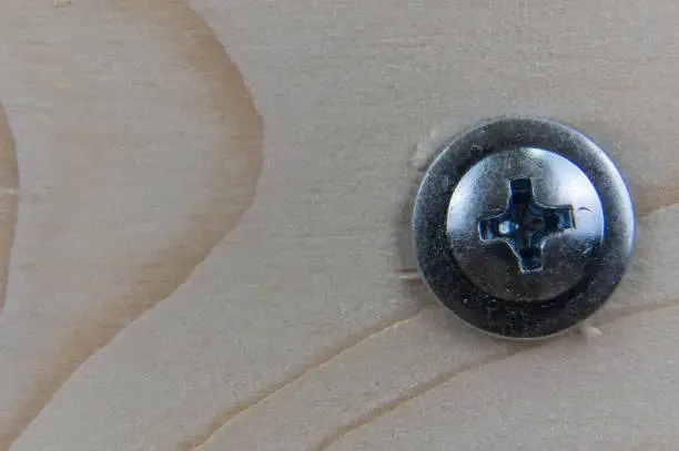 Close-up of the head of a galvanized self-tapping screw with a press washer, screwed into a wooden board. Phillips type slot - PH. Place for text or logo.